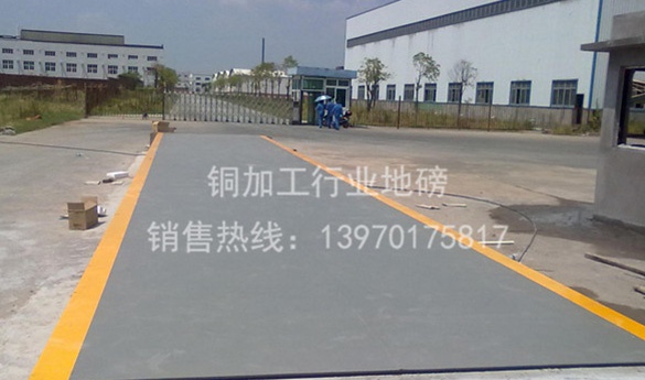 泰安藝樹園林綠化有限公司